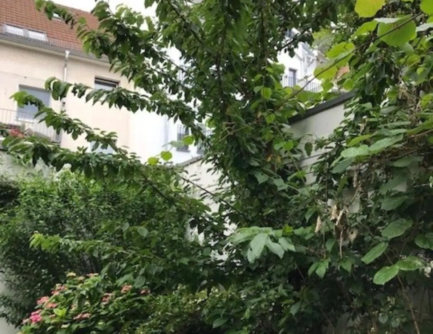 Dom Oase Lägenhet Köln Tyskland